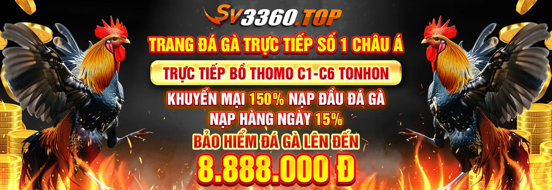 banner-sv3360-top